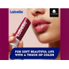 LABELLO BLACKBERRY SHINE MELT-IN MOISTURE CARING LIP BALM​ 4.8G/ 5.5 ML